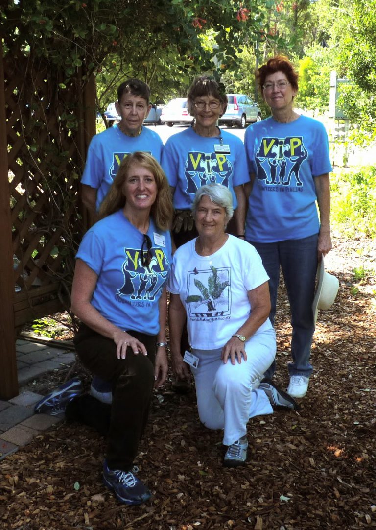 Volunteer finds inspiration in native flowers