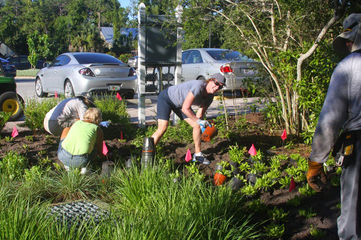 People planting in public garden