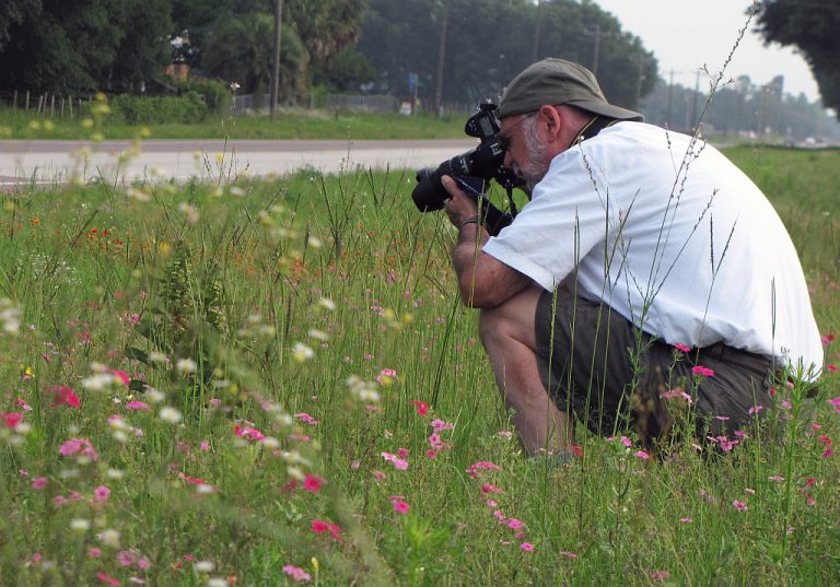 Foundation sponsors 3-season wildflower surveys throughout Florida