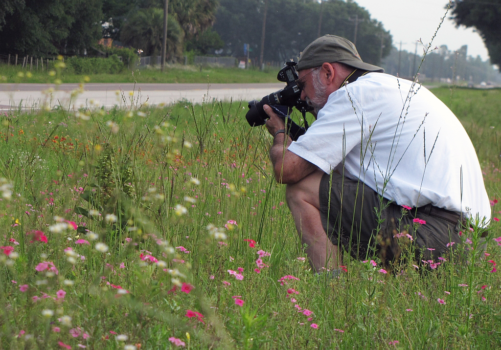 Gil Nelson photographing roadside wildflowers