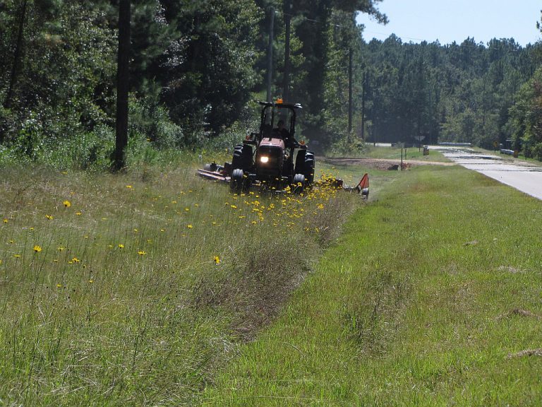 Rare Plant Conservation in Rights-of-Way