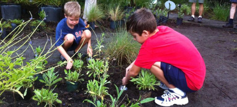Apply now for school garden grants