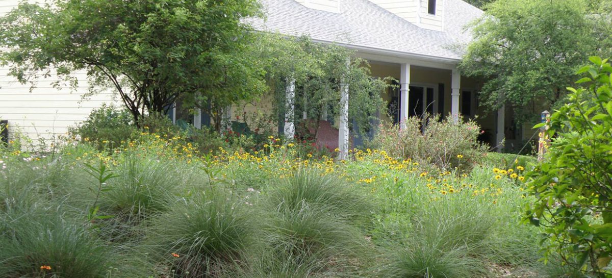 Native plant home landscape