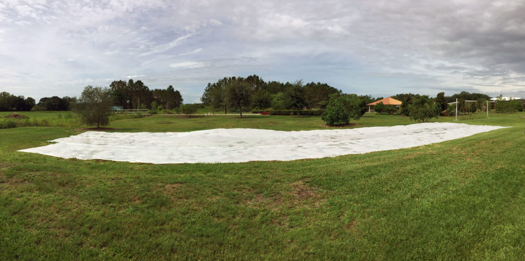 Meadow site at Orange County's UF IFAS Extension covered in plastic to be solarized