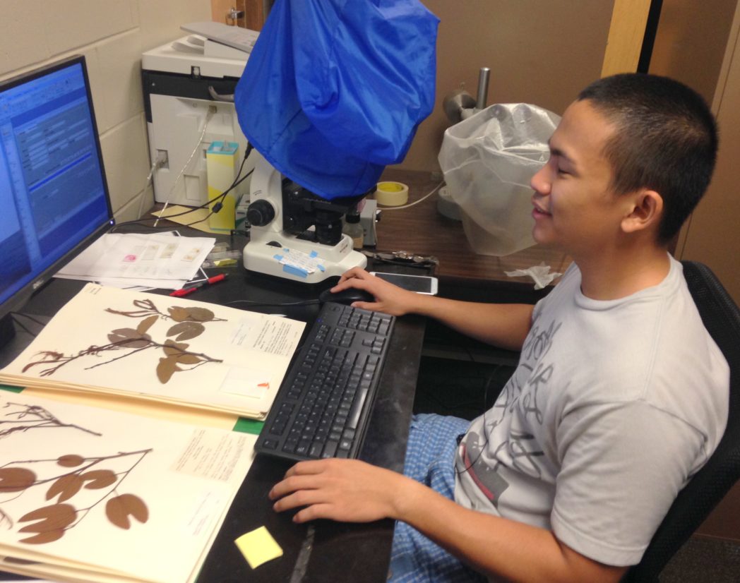 Student entering USF Herbarium specimens in computer