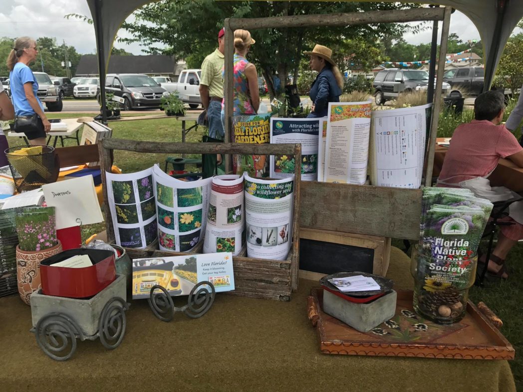 Booth at North Florida Festival