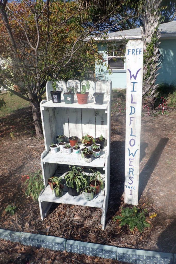 Plant stand with free wildflower seedlings