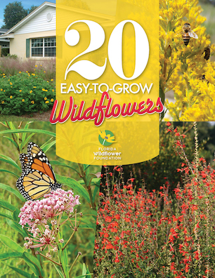 20 Easy-to-Grow Wildflowers cover