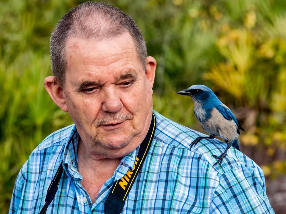 Dr. Walter Taylor with a Florida scrubjay on shoulder