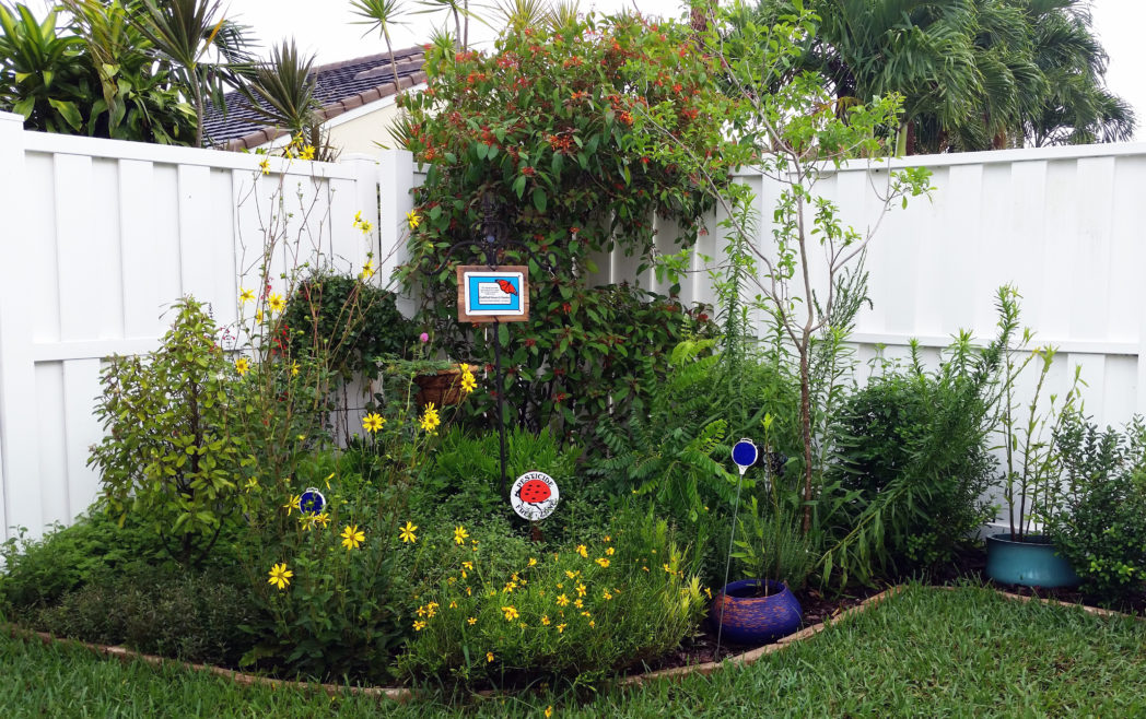 Native plant landscape