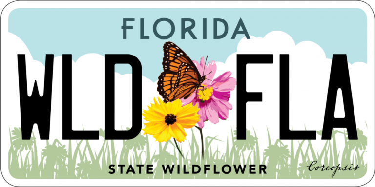 The State Wildflower license plate gets a makeover