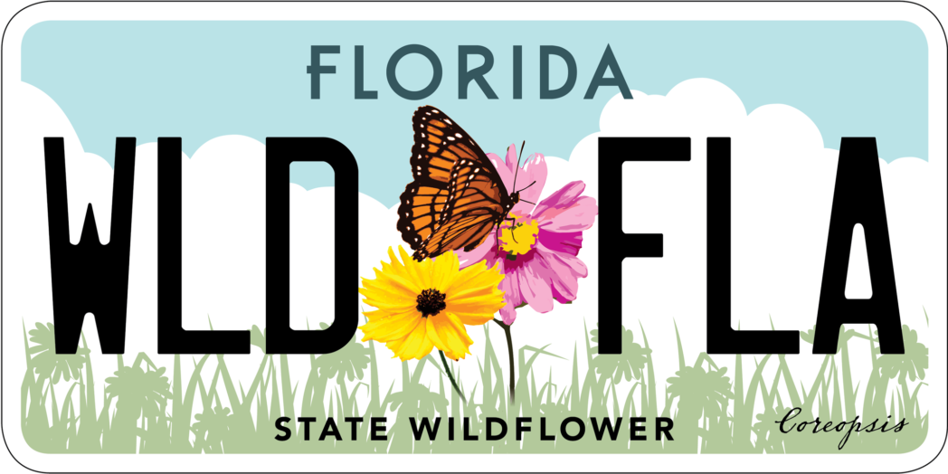 State Wildflower license plate