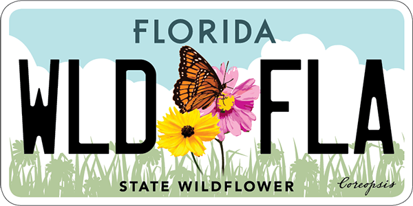 Florida State Wildflower license Plate