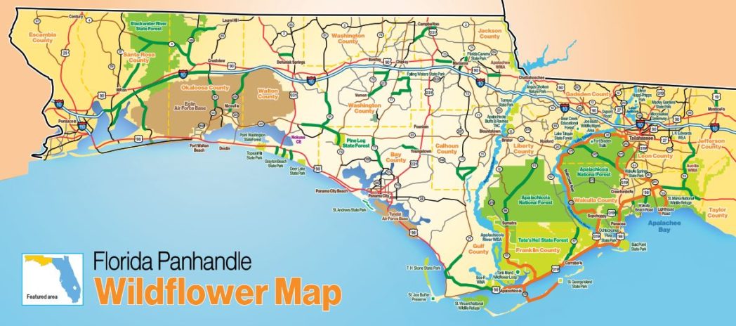 Panhandle map of wildflower routes