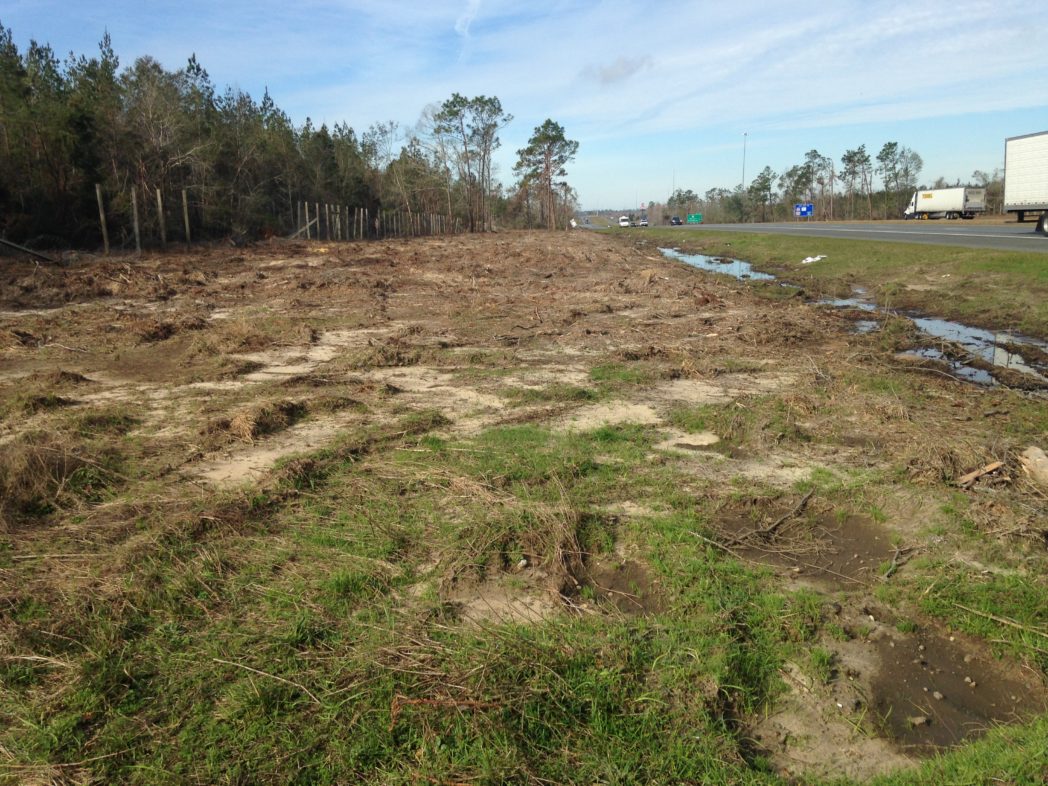 Hurricane damage to roadside in Panhandle