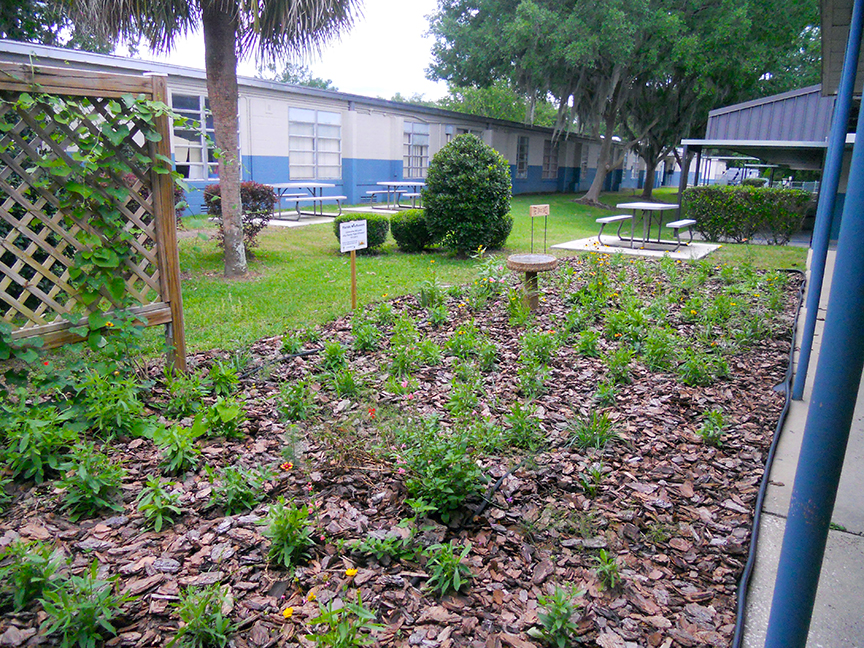 Wildflower planting at Bellview Elementary School