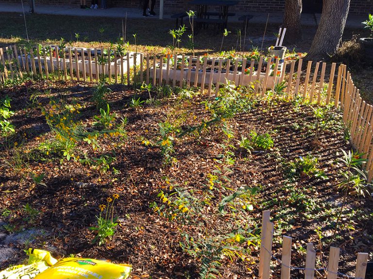 Wildflower planting at Murdock Middle School