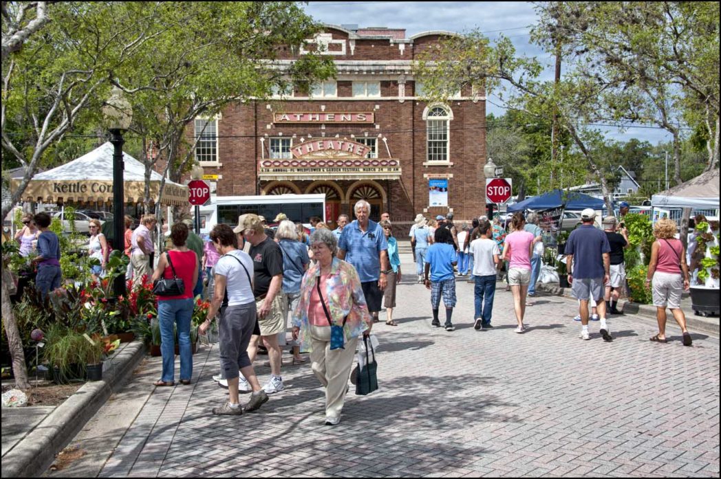 Scene from Deland's Wildflorida Wildflower & Garden Festival