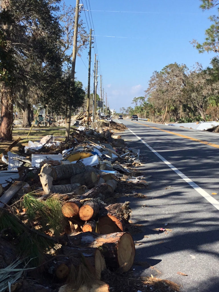 Hurricane debris on Gulf County roadside