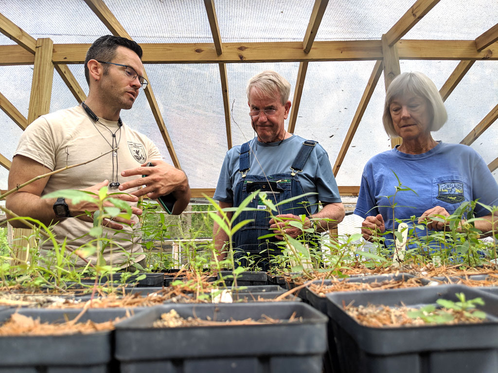 Ranger Scott Davis and volunteers working with milkweed seedlings