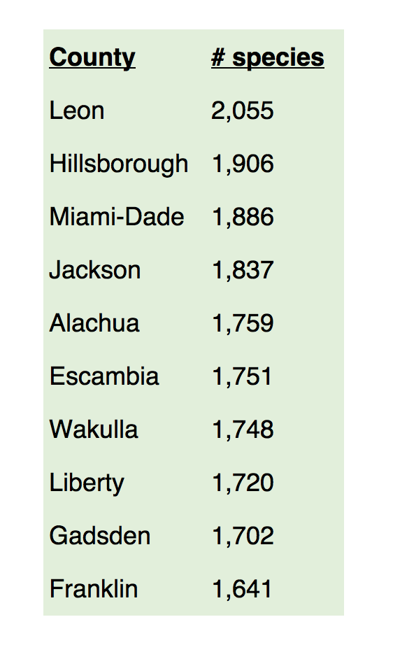 City Nature Challenge results table