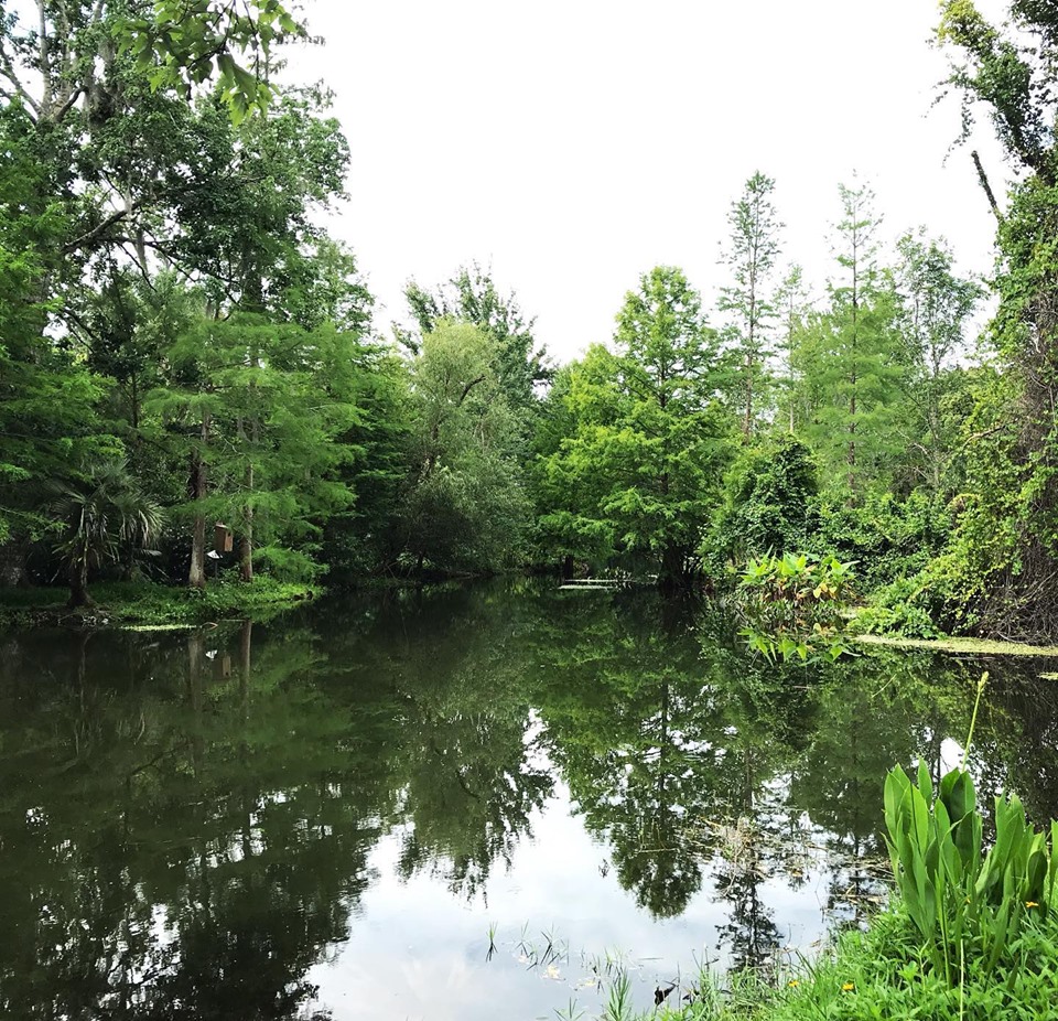 Alice's Pond at Mead Garden