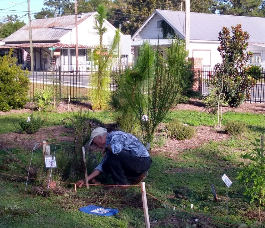 David Roddenberry weeding in native plant garden