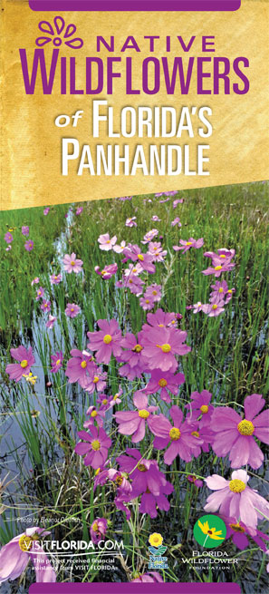 Native Wildflowers of Florida's Panhandle brochure cover