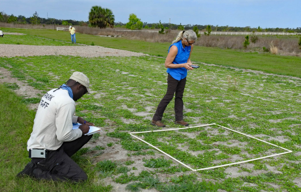 Wendy Poag and another Lake County employee evaluate a plot that is part of the PEAR Park weed seed bank study