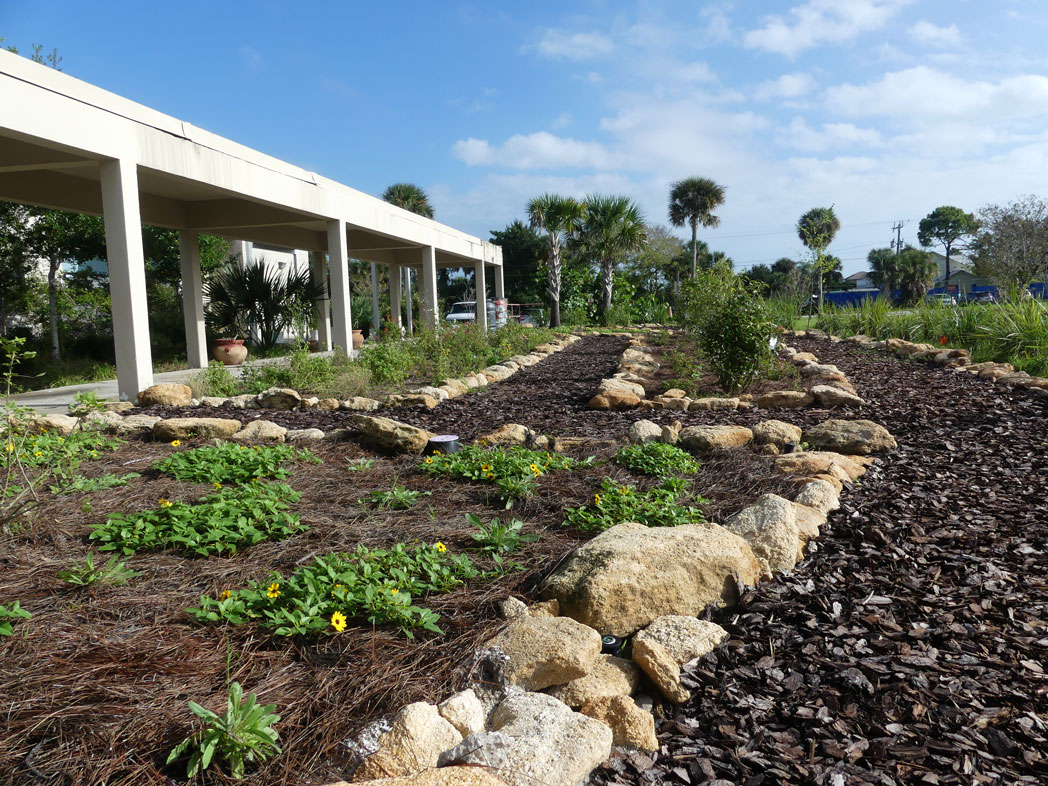 Native plant garden at Marine Discovery Center