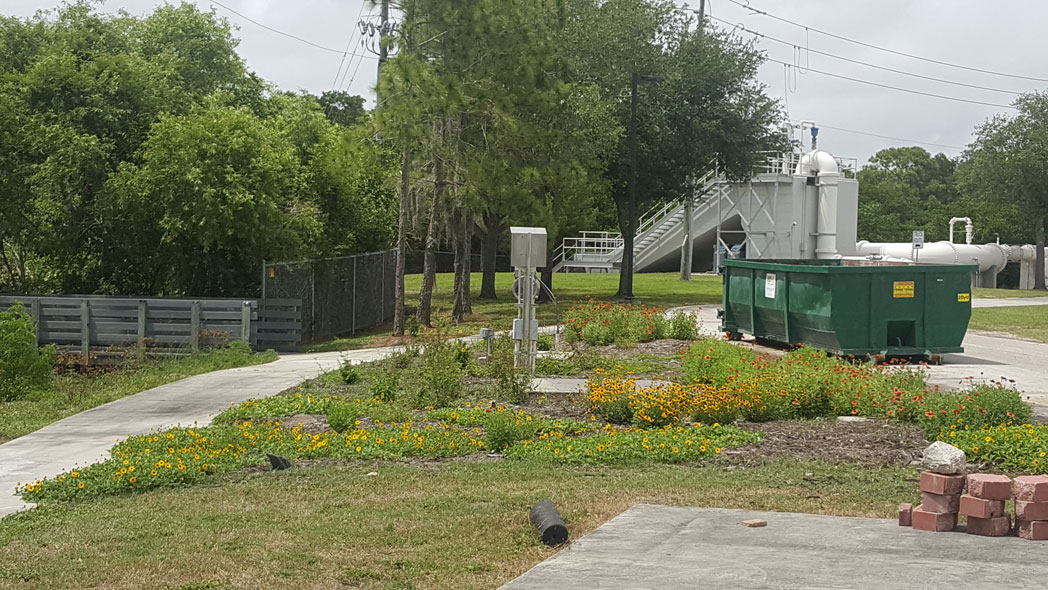 Native wildflower garden at South Cross Bayou Water Reclamation Center