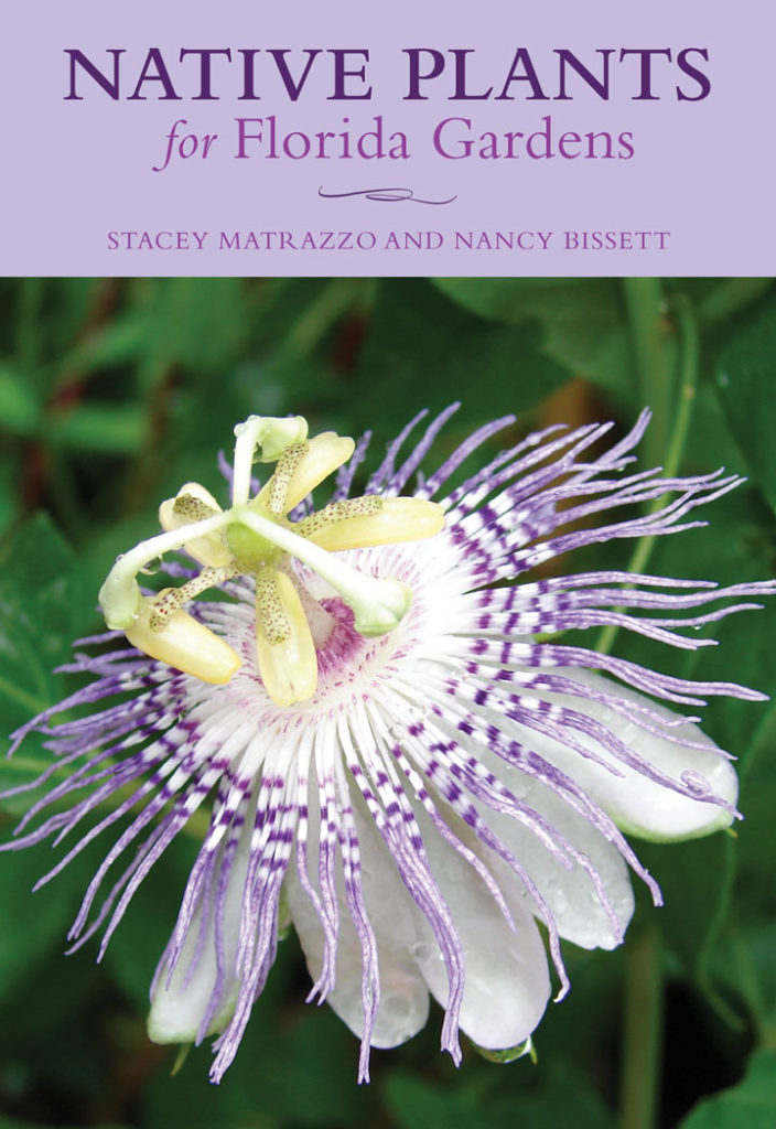 New book spotlights 100 Florida native plants for landscapes