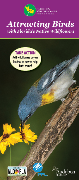 Attracting Birds brochure cover