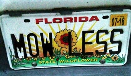 State Wildflower license plate with MOW LESS