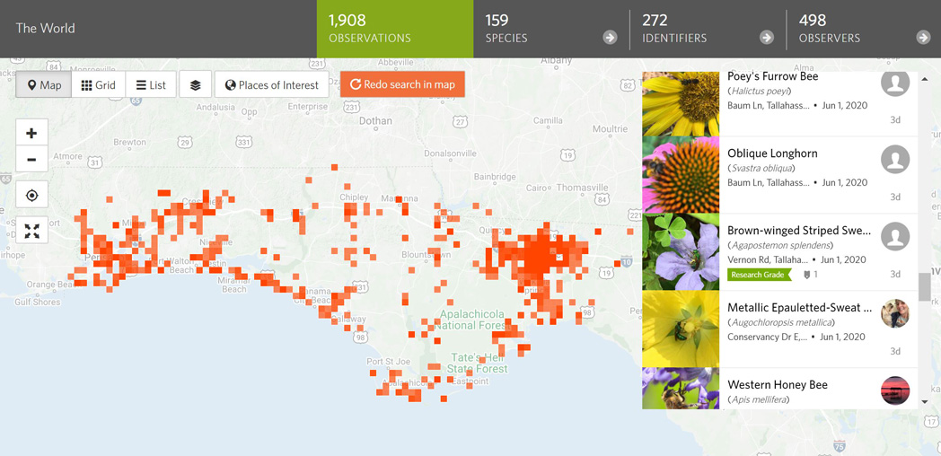 Screenshot of iNaturalist Apalachee Bees project