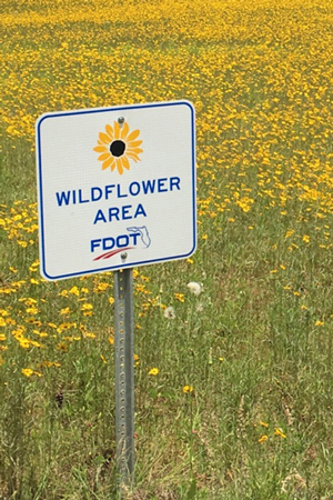 wildflower area sign in field of Coreopsis lanceolata