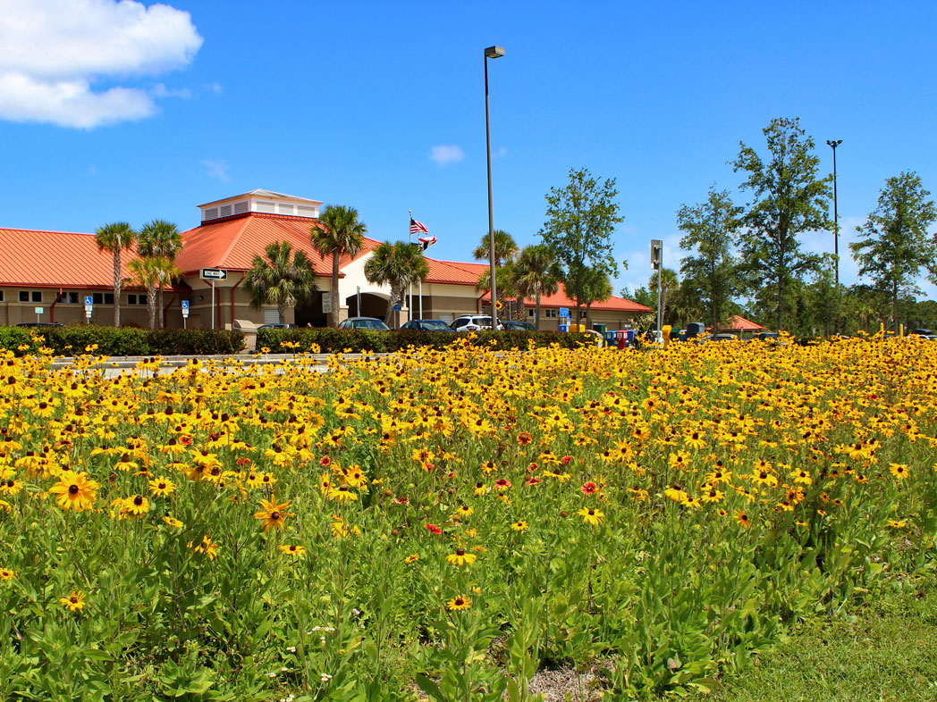 field of black-eyed susan and blanketflower in front of rest area building