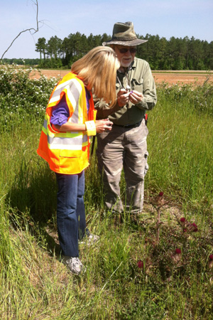 Dustie Moss and Loran Anderson survey roadside plants