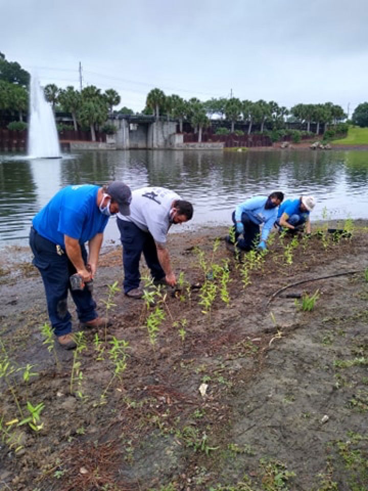 Volunteers planting near a lake
