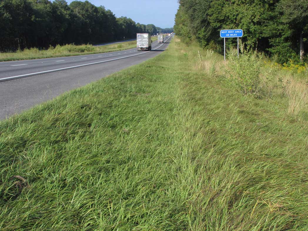 partially mowed roadside