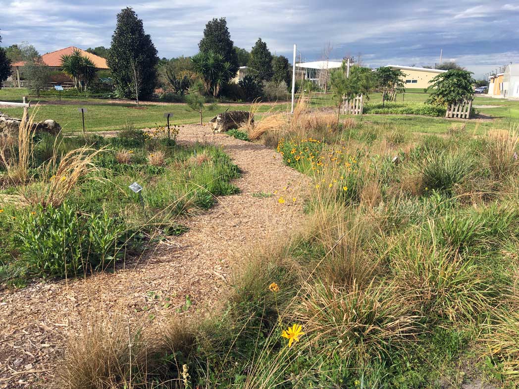 wildflower meadow at Orange County IFAS Extenstion