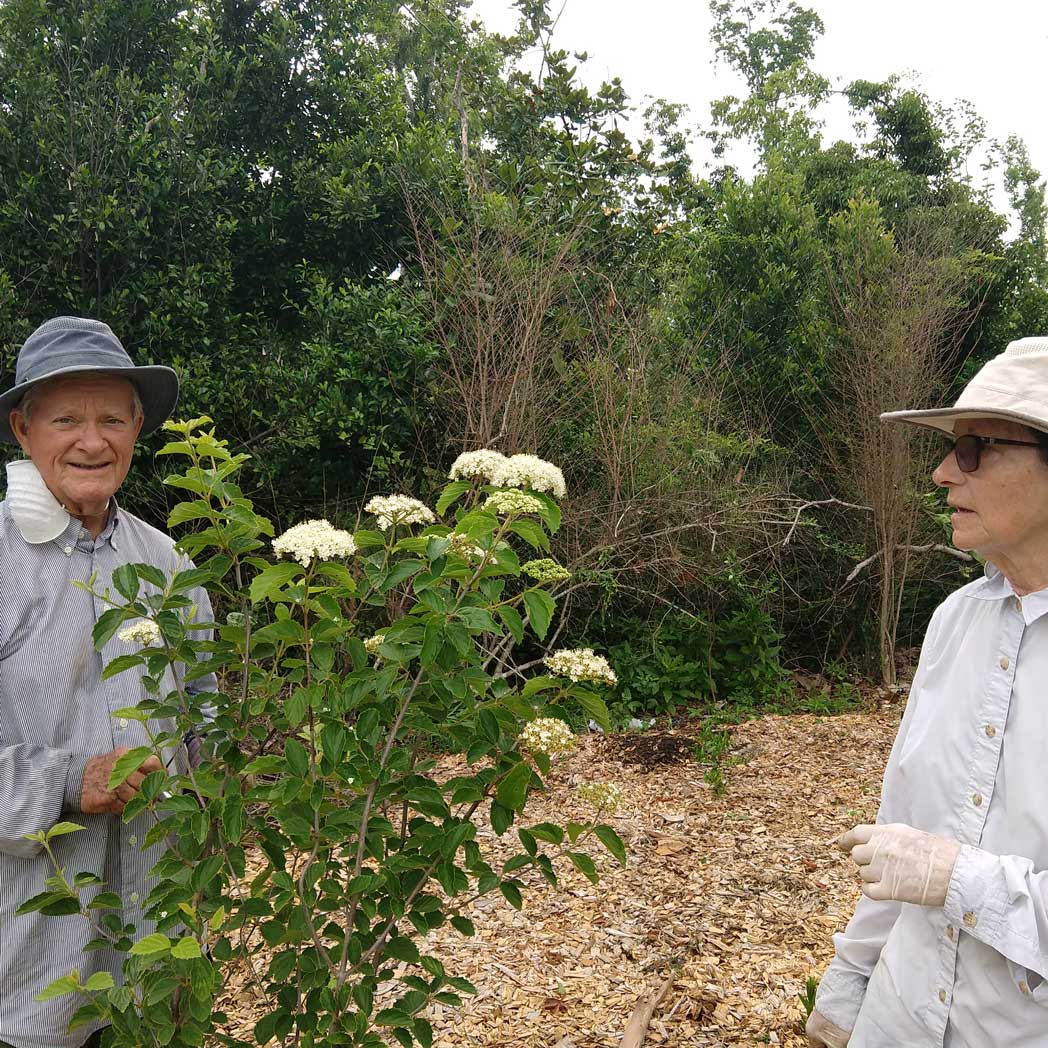Man and woman in natural area with plant in bloom