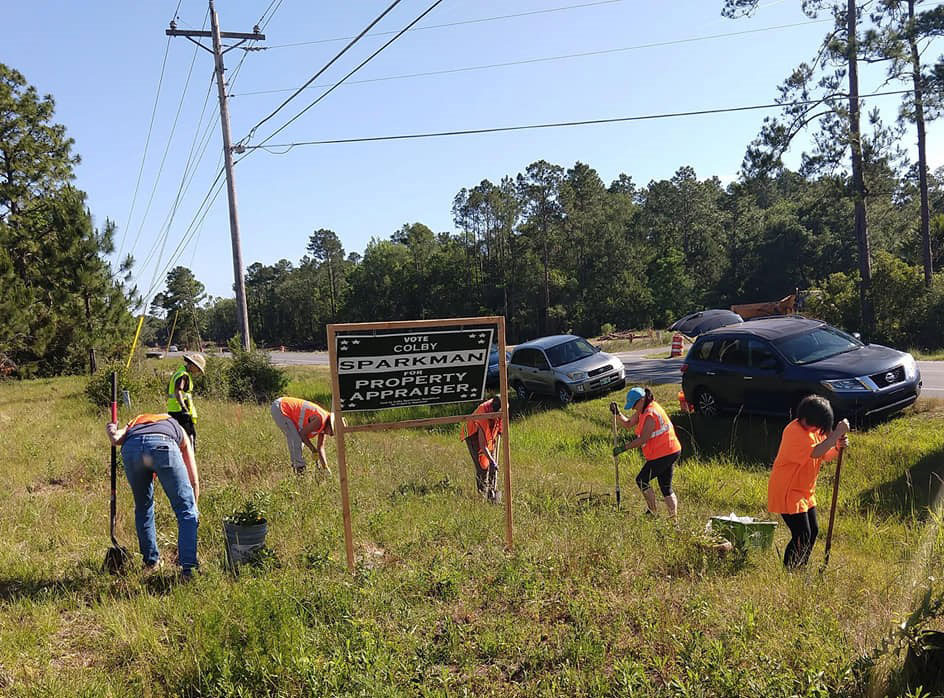 people digging up roadside plants