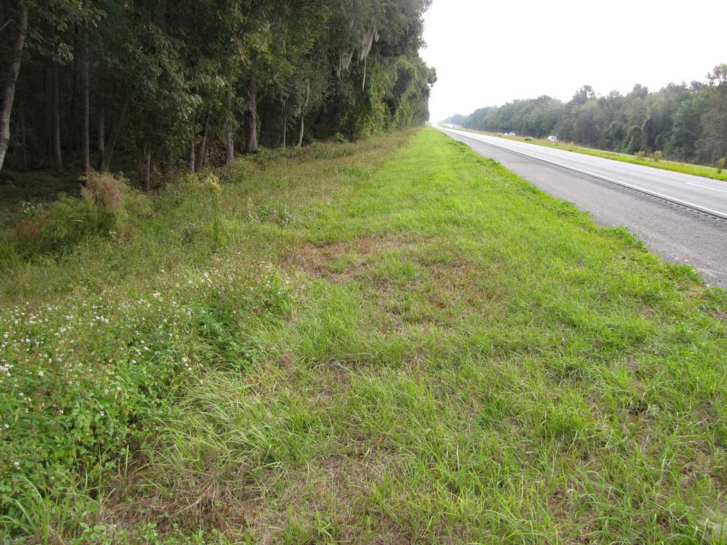 partially mowed roadside