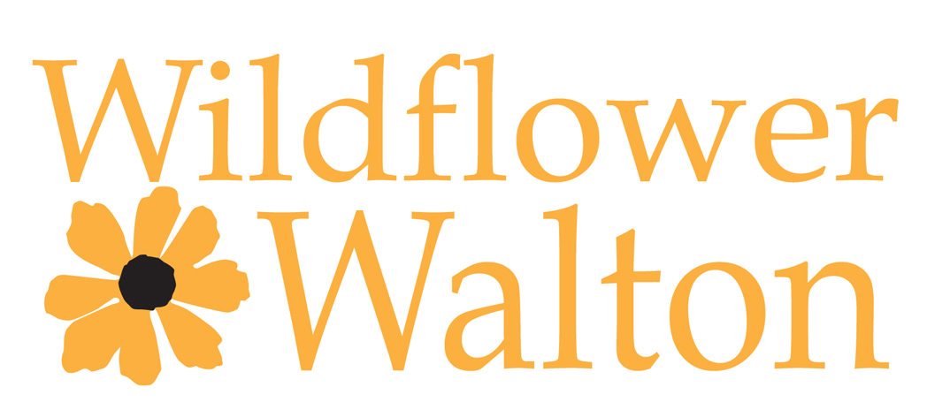 Wildflower Walton logo