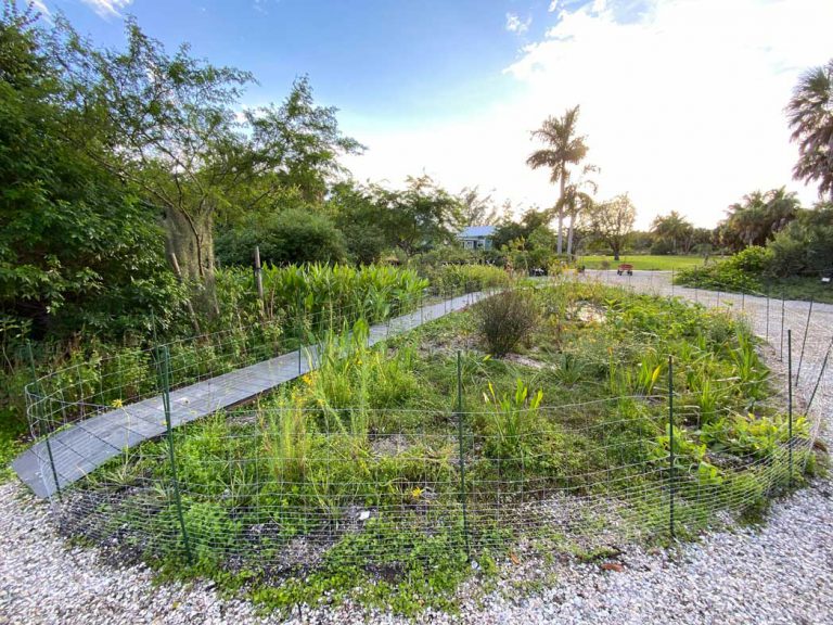 Viva Florida native plant garden at Sanibel-Captiva Conservation Foundation