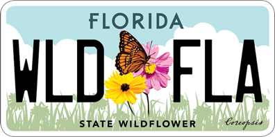 Florida State Wildflower Plate