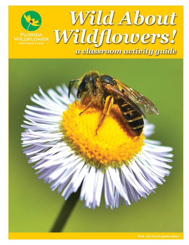 Carpenter bees - Florida Wildflower Foundation