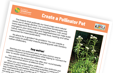 Create a Pollinator Pot