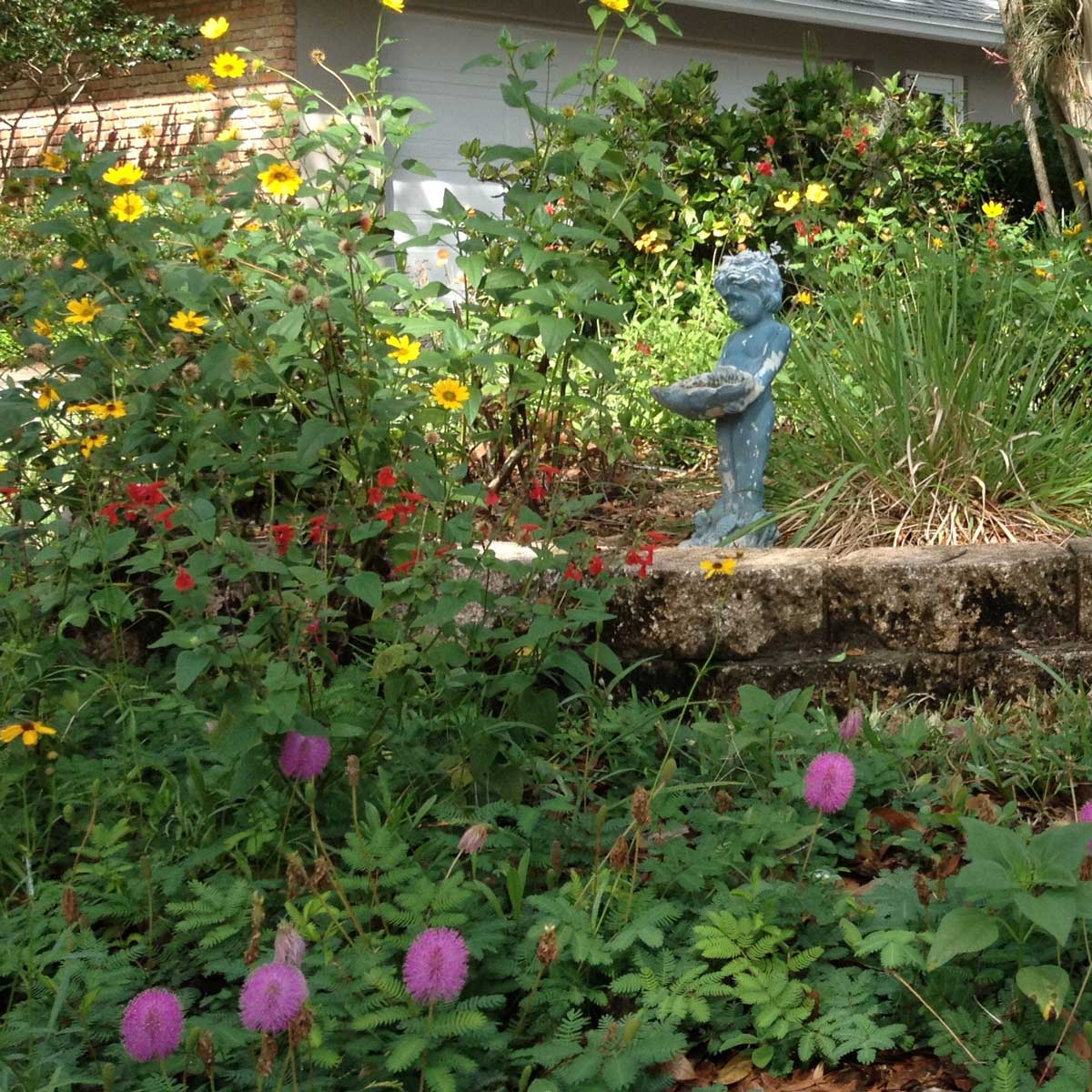 A Wildflower Garden In Your Backyard